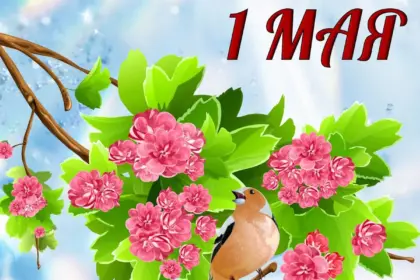 1 мая — DE news