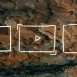course — DE news