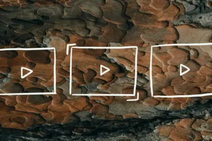 course — DE news