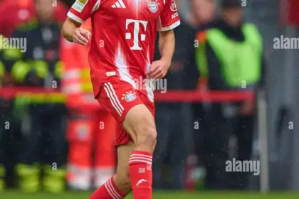 david santos daiber — DE news