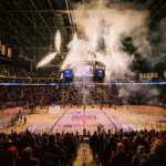 eisbären berlin — DE news
