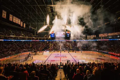 eisbären berlin — DE news