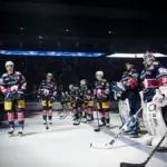 eishockey adler mannheim eisbären berlin — DE news