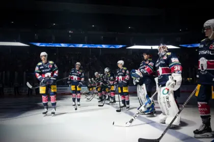 eishockey adler mannheim eisbären berlin — DE news