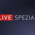 orf live — DE news