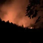 waldbrand böhmische schweiz — DE news