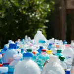 waste management — DE news
