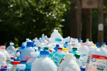 waste management — DE news