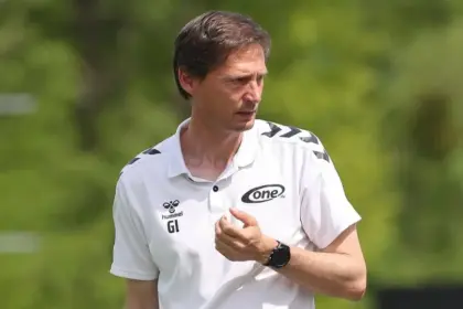 zfc meuselwitz — DE news