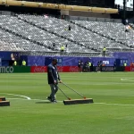 Fußball-WM - Für Hunderte Euro: FIFA verkauft Final-Rasen - Sport - SZ.de
