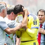 Fußball-WM - Der „heilige“ Merino: Pressestimmen zum Spanien-Sieg - Sport - SZ.de