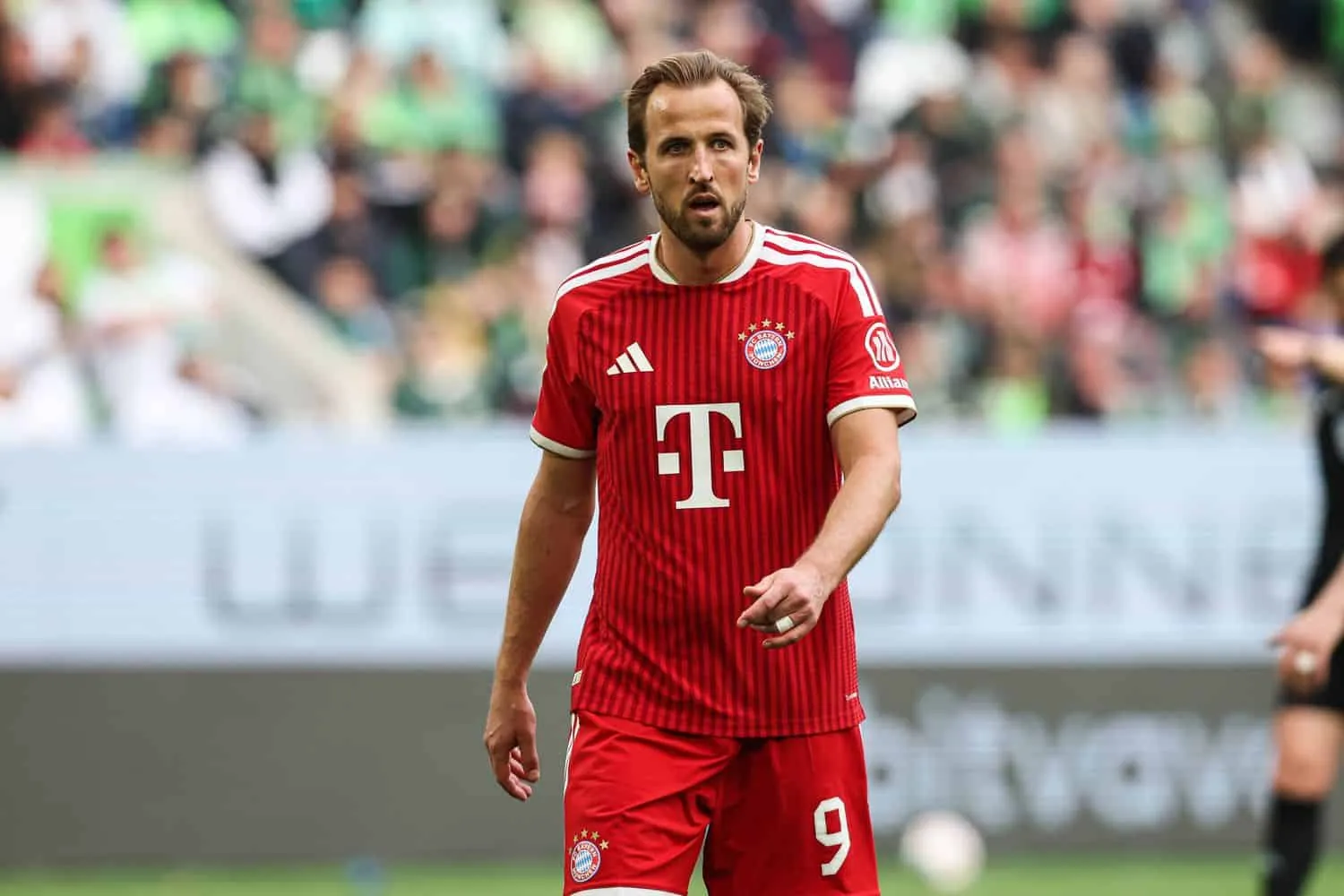 Harry Kane